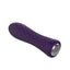 Nalone Ian Bullet Vibrator Purple