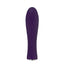 Nalone Ian Bullet Vibrator Purple