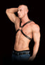 Adonis Chest Harness